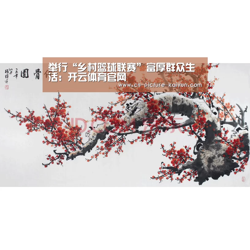 开云体育官网